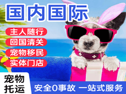 腾鳌机场空运国际宠物托运 【国